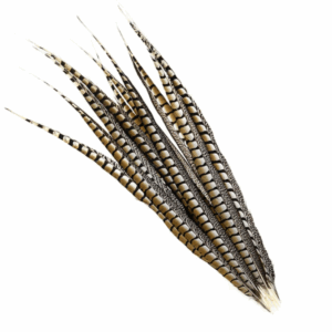 Lady Am Side Tails LONG