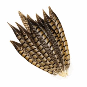 Lady Am Side Tails SHORT