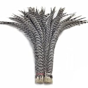 Lady Am Center Tails