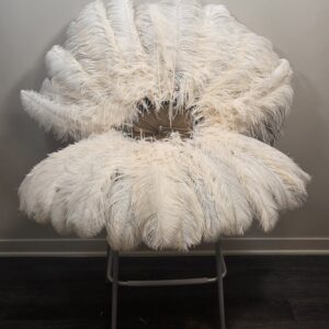 Biscuit 28 count single layer